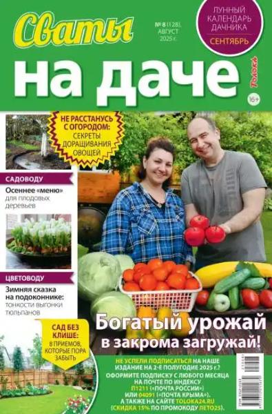 Сваты на даче №8 (август/2025) Сваты на даче №8 (август/2025)