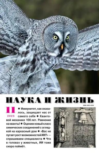 Наука и жизнь №11 (ноябрь/2025) Наука и жизнь №11 (ноябрь/2025)