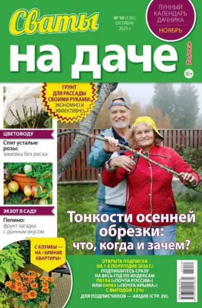 Сваты на даче №10 (октябрь/2025)