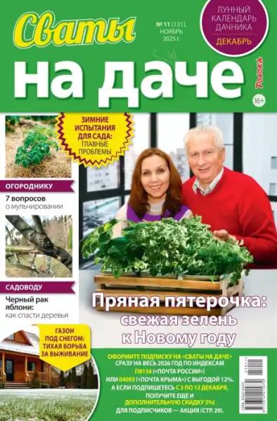 Сваты на даче №11 (ноябрь/2025)