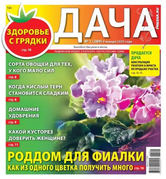 Дача №1 (январь/2026)