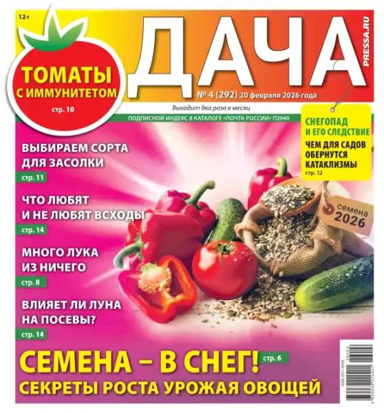 Дача №4 (февраль/2026)