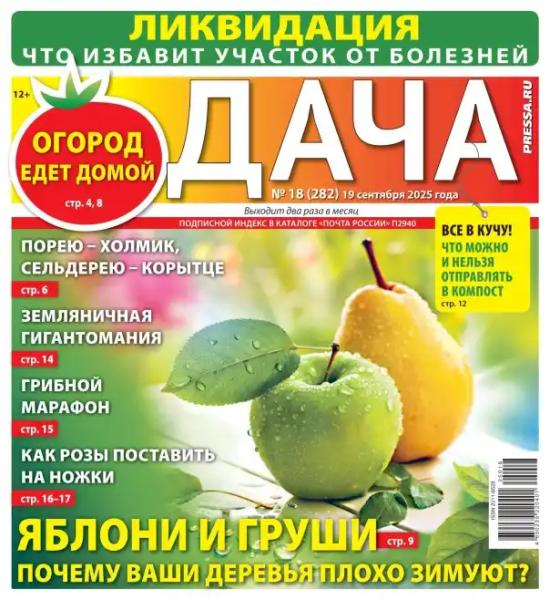 Дача №18 (сентябрь/2025)