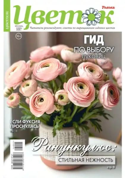 Цветок №2 (январь/2026)