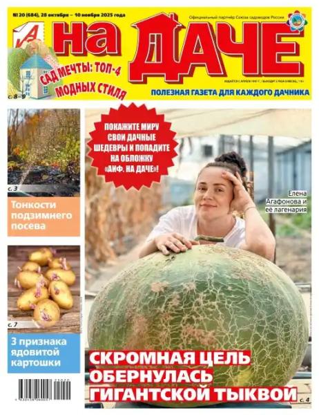 Аиф На даче №20 (октябрь-ноябрь/2025)