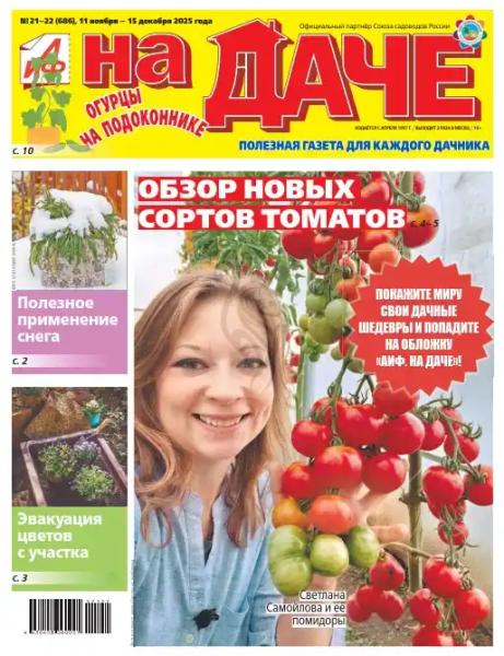 Аиф На даче №21 (ноябрь-декабрь/2025)