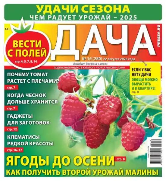 Дача №16 (август/2025)